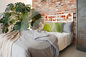 Bedroom with monstera