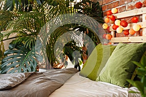 Bedroom for plant lover