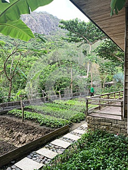 The beds in the garden at the cottage