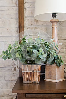 Bedside lamp and green plant in bedroom