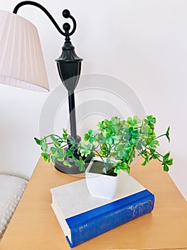 Bedside table, Lamp, book and artificial potted plant. Interior design.