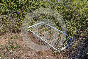 bedspring left in the midst of the weeds