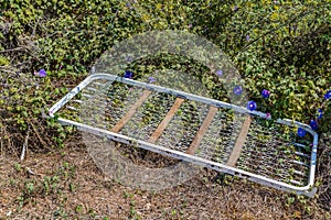 bedspring left in the midst of the weeds