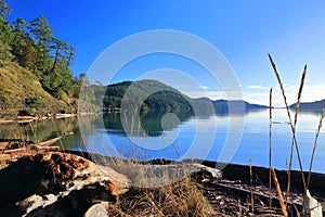 Bedwell Harbour from Medicine Beach Sanctuary in Morning Light, Pender Island, Southern Gulf Island, British Columbia