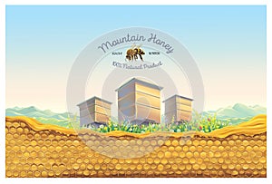 Bee apiary with honeycomb