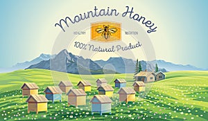 Bee apiary in the mountains landscape.