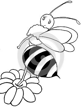 The bee b/w
