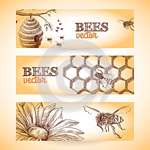 Miel de abeja formato publicitario destinado principalmente a su uso en sitios web bosquejo 