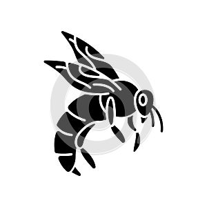 Bee black glyph icon