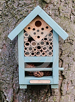 This bee box protects overwintering solitary bees.