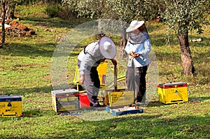 Bee boxes and bee keepers 5