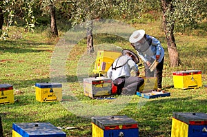 Bee boxes and bee keepers 6
