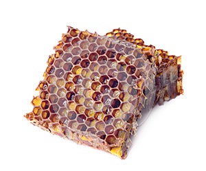 Bee bread granules and a piece of honey cells are isolated on a white background. Natural remedy for immunity enhancement. Beekeep photo