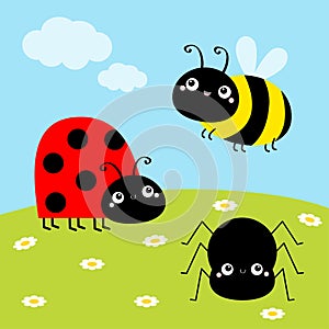 Bee bumblebee, spider, ladybug ladybird, lady bug. Insect set. Green grass daisy meadow, sky with clouds. Cute cartoon kawaii