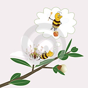 Bee is dreaming on a manuka flower