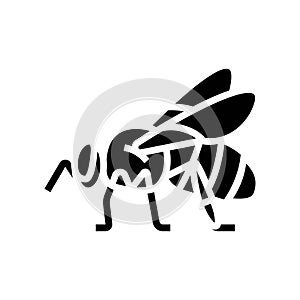 bee drone icon glyph icon vector illustration