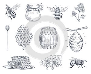 Bee engraving. Honey bees, beekeeping farm and honeyed honeycomb vintage hand drawn vector illustration set photo