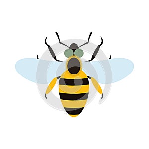 Bee flat icon photo