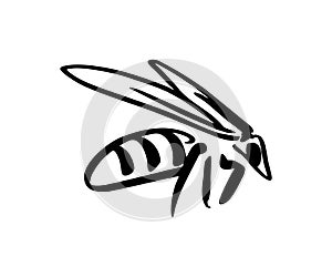 Bee - flat illustration isolated on white background. wasp is a stylized illustration in dudule style. insect - sketch