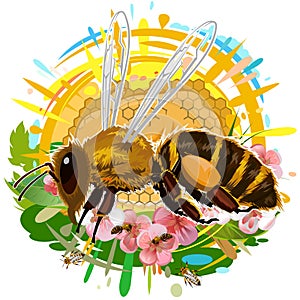 A bee flies and collects nectar from flowers. Wax honeycomb with honey streaks. Art. Isolated vector on white background. Bees