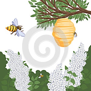 A bee flies to the hive with honey, lilac in the forest. Vector illustration