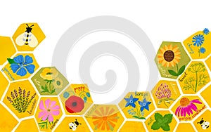 Bee friendly flowers on the honeycomb background. Save the bees concept. Pollinator friendly plants