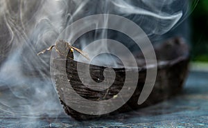 Bee guiding boat through mist