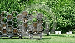 Bee Hive display in an orchard
