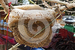 Bee hive from forest for sale in local market