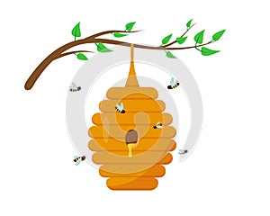 Bee hive with honey on the tree branch