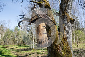 Bee hive made from a trunk .