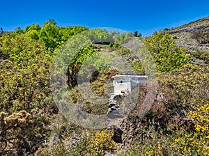 Bee hive in the middle of a field with heather, San Martin de Oscos, Rio Eo, Oscos and Terras de Buron Biosphere Reserve, Asturias