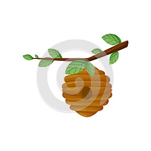 Bee hive on a tree branch. Vector illustration.