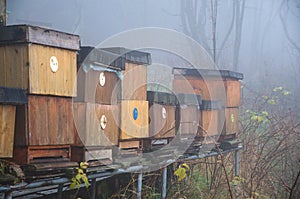 Bee hives