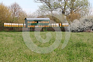 Bee hives on green field