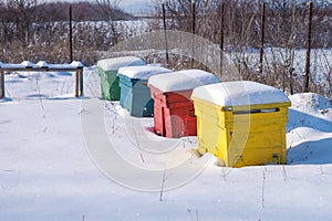 Bee hives hibernating