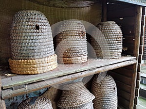 Bee hives photo