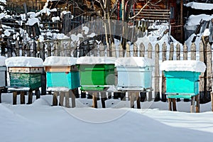 Bee Hives in Winter