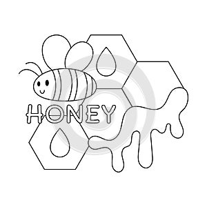 Bee and Honey in Beehive Colorless