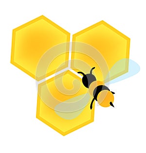 Bee on honey cells vector