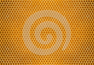 Bee honey in honeycomb pattern background