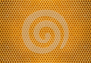 Bee honey in honeycomb pattern background photo