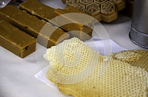 Bee honey panels