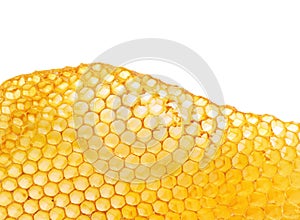 bee honeycomb