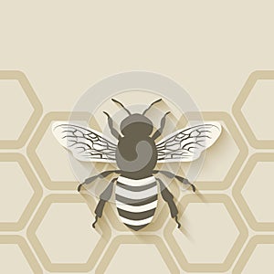 Bee honeycomb background