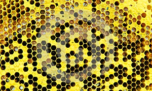 bee honeycomb background. honey cells