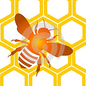 Bee Honeycomb background - illustration