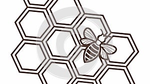 Bee and Honeycomb Hexagonal Pattern Design, vector design Generative AI