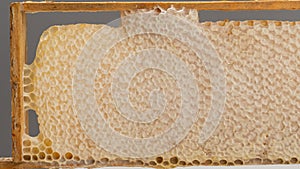 Bee honeycomb with honey in a wooden frame.