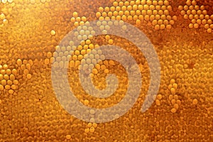 Bee honeycomb with honey, yellow honeycomb wax background